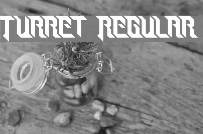 Turret Regular Font examples