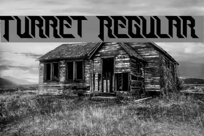 Turret Regular Font examples