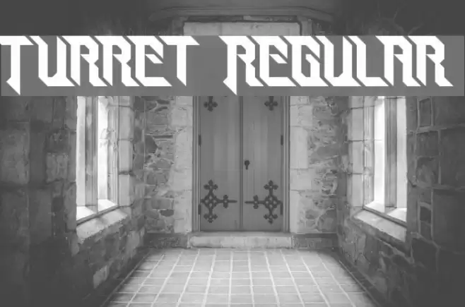 Turret Regular Font examples