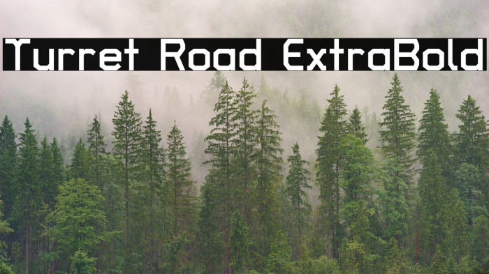 Turret Road ExtraBold Font examples