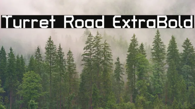 Turret Road ExtraBold Example 1