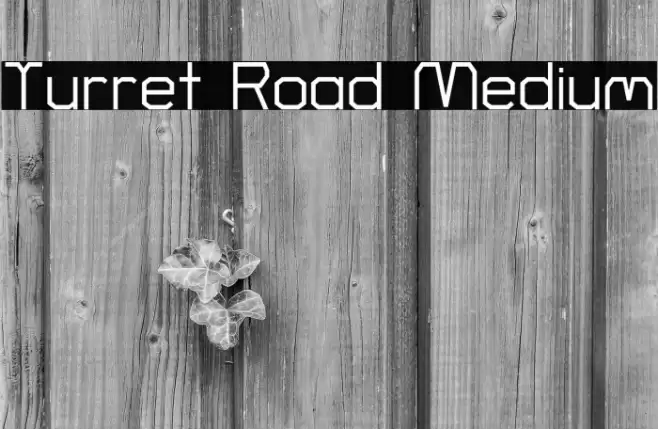 Turret Road Medium Font examples