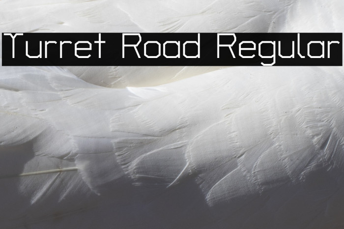 Turret Road Regular Font examples