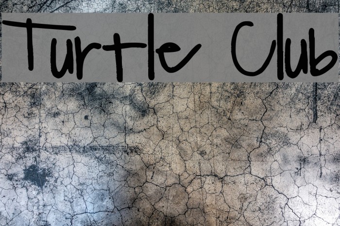 Turtle Club Font examples