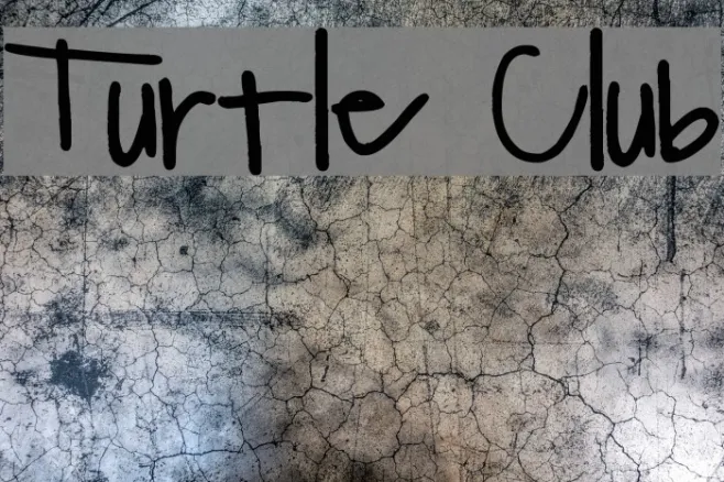 Turtle Club Example 1