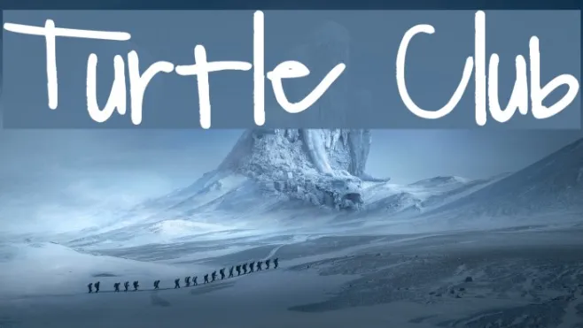 Turtle Club Example 2