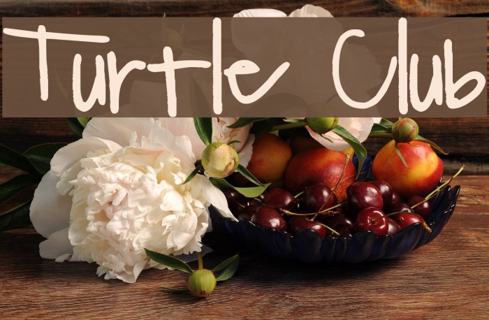 Turtle Club Font examples