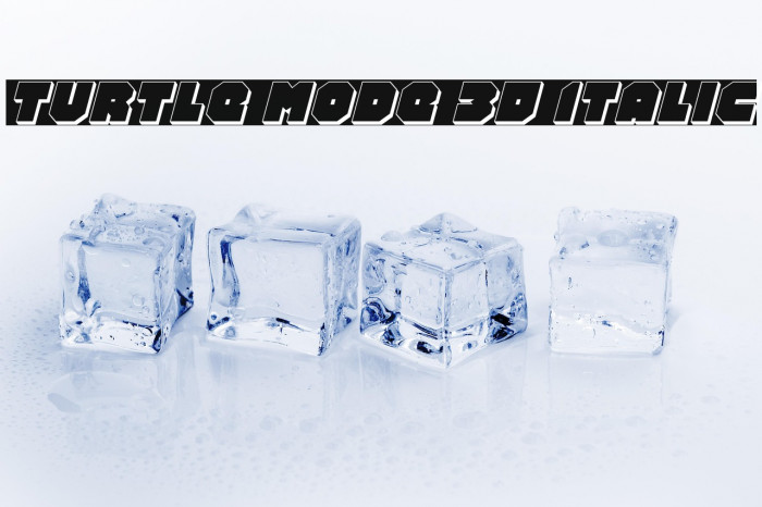 Turtle Mode 3D Italic Example 1