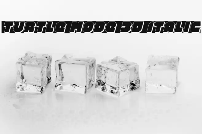 Turtle Mode 3D Italic Font examples