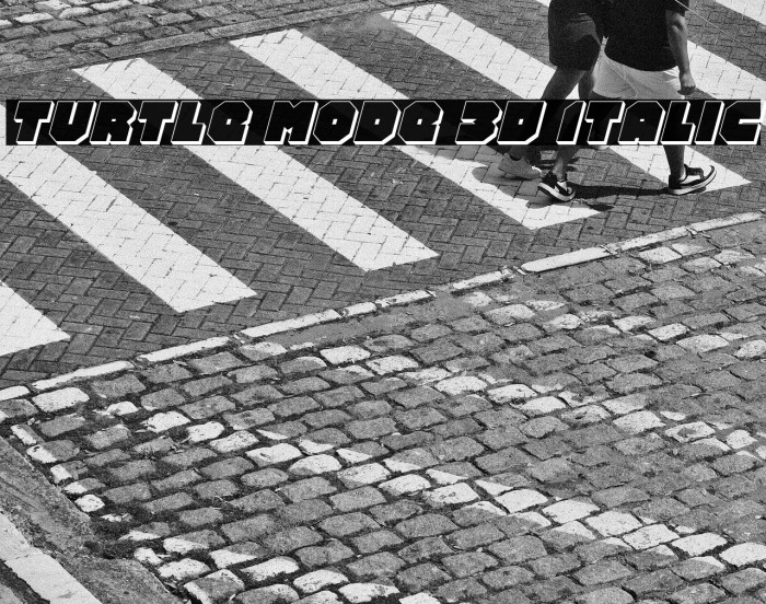 Turtle Mode 3D Italic Example 2