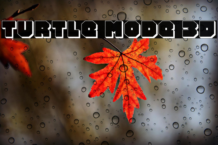 Turtle Mode 3D Example 3