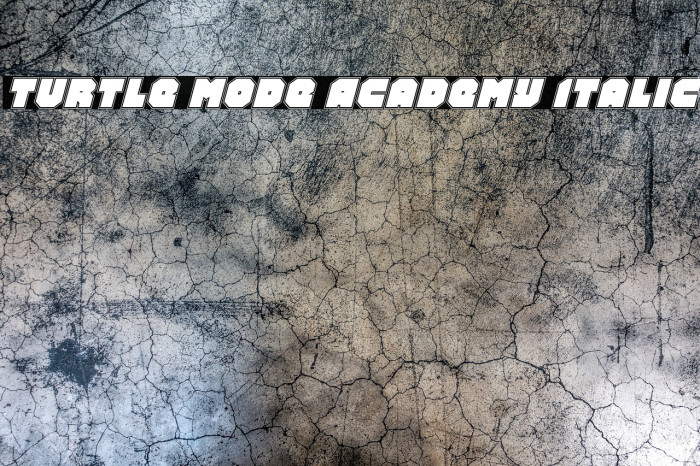 Turtle Mode Academy Italic Example 1