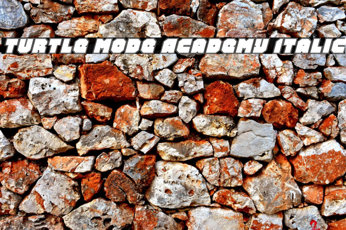Turtle Mode Academy Italic Example 2