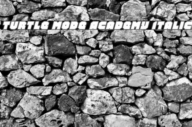 Turtle Mode Academy Italic Font examples