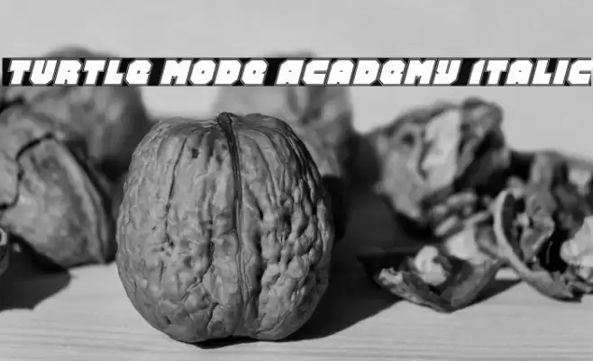 Turtle Mode Academy Italic Font examples