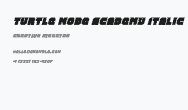 Turtle Mode Academy Italic Business Card