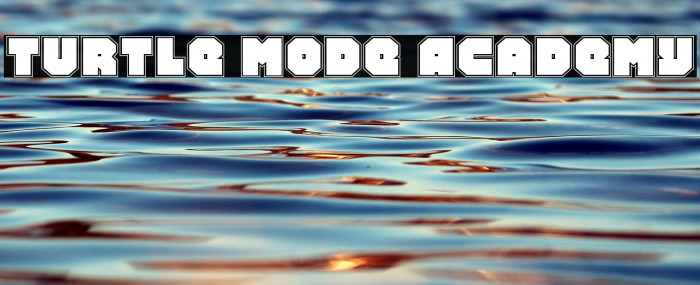 Turtle Mode Academy Example 3