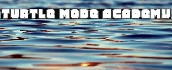 Turtle Mode Academy Example 3