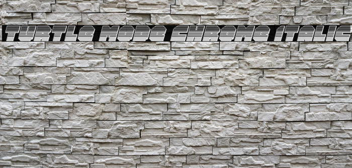 Turtle Mode Chrome Italic Example 2