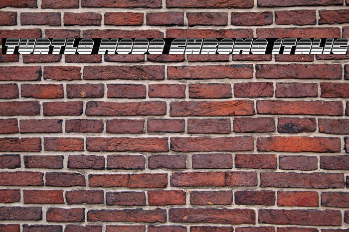 Turtle Mode Chrome Italic Example 3