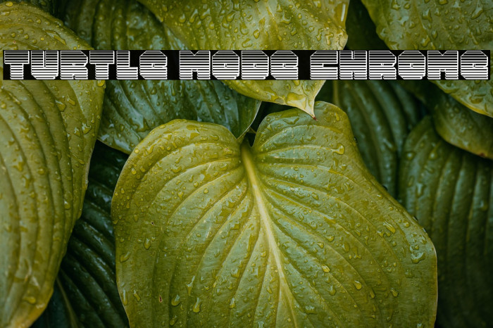 Turtle Mode Chrome Example 2