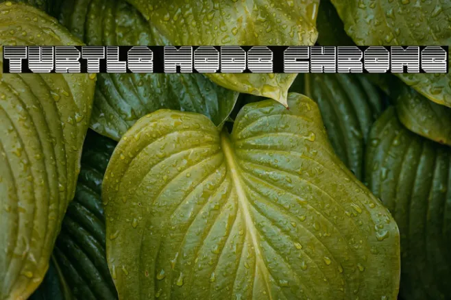 Turtle Mode Chrome Example 2