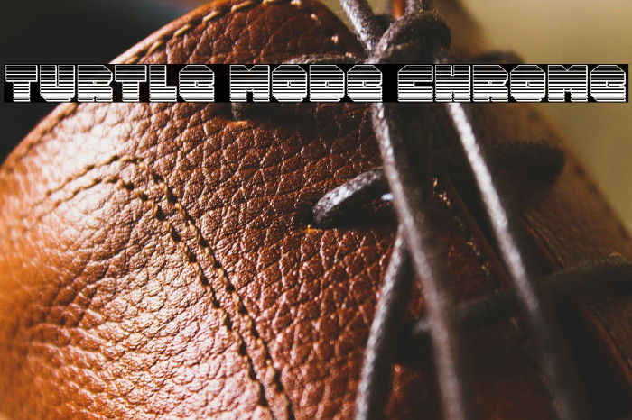 Turtle Mode Chrome Example 3