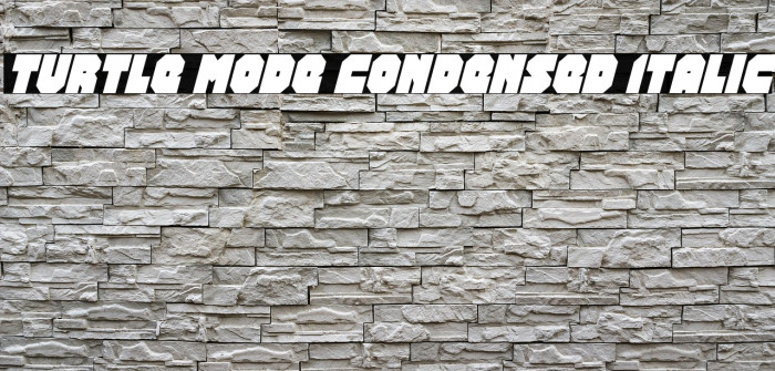 Turtle Mode Condensed Italic Example 2