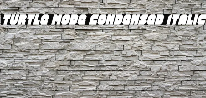 Turtle Mode Condensed Italic Example 2