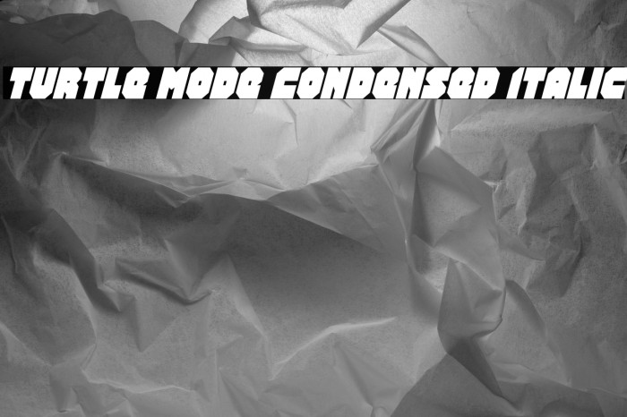 Turtle Mode Condensed Italic Example 3