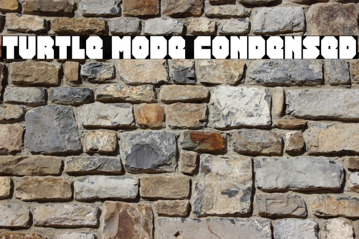 Turtle Mode Condensed Example 1