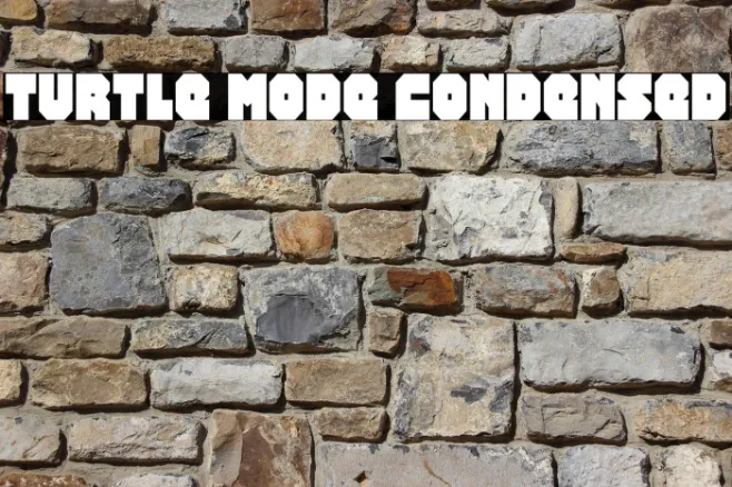 Turtle Mode Condensed Example 1