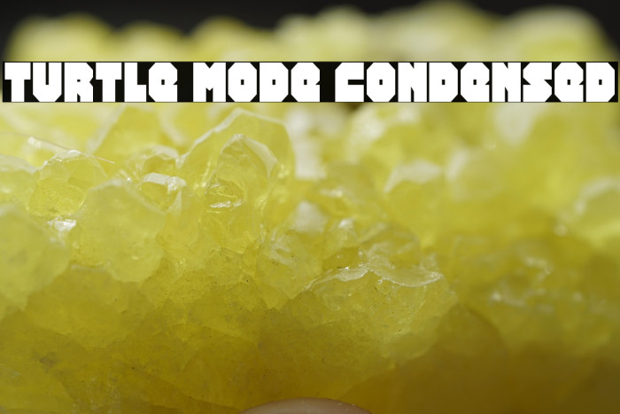 Turtle Mode Condensed Example 2