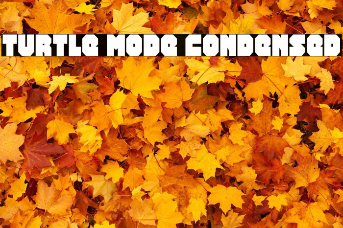 Turtle Mode Condensed Example 3