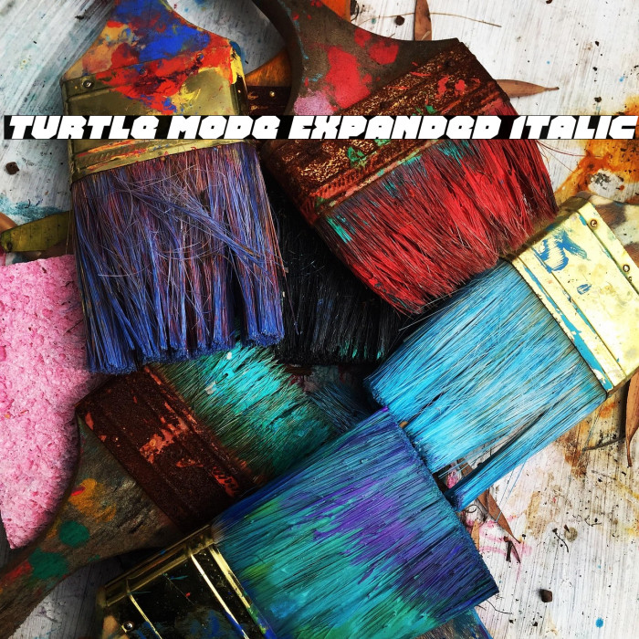 Turtle Mode Expanded Italic Example 1