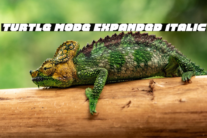 Turtle Mode Expanded Italic Example 2