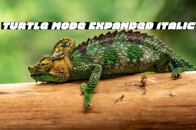Turtle Mode Expanded Italic Example 2