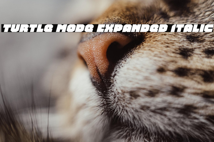 Turtle Mode Expanded Italic Example 3