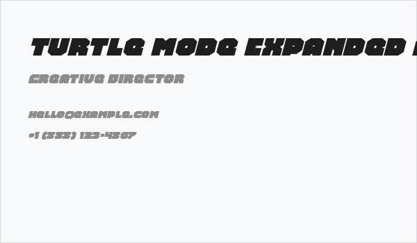 Turtle Mode Expanded Italic Business Card
