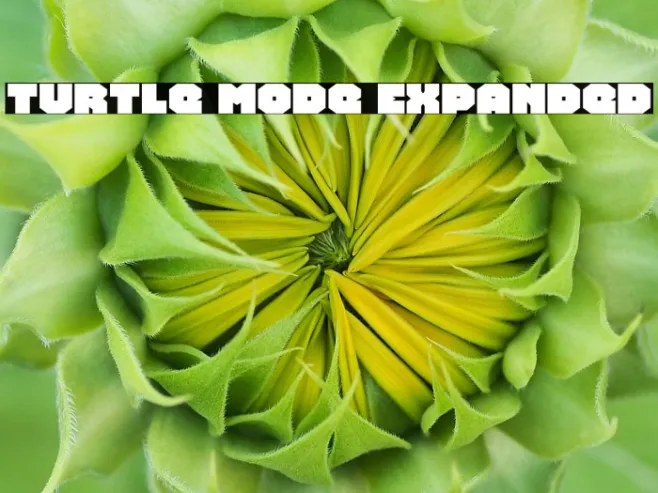 Turtle Mode Expanded Example 1