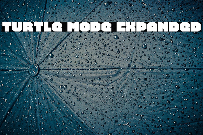 Turtle Mode Expanded Example 2