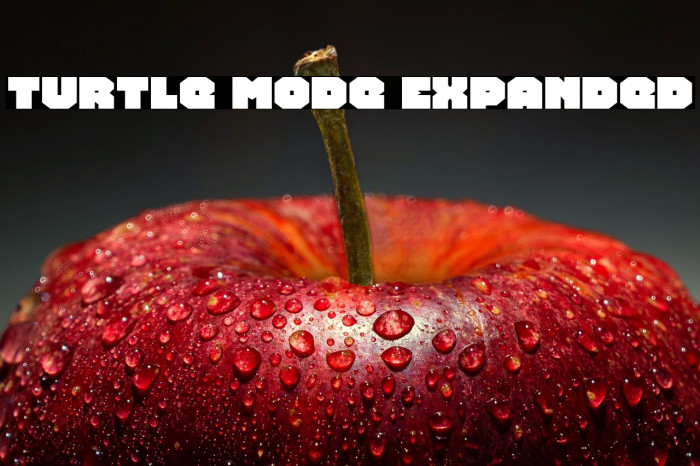 Turtle Mode Expanded Example 3