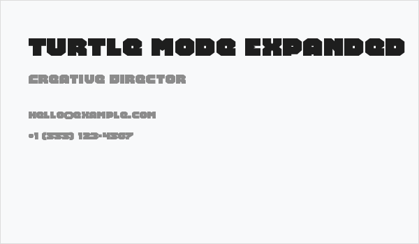 Turtle Mode Expanded Business Card