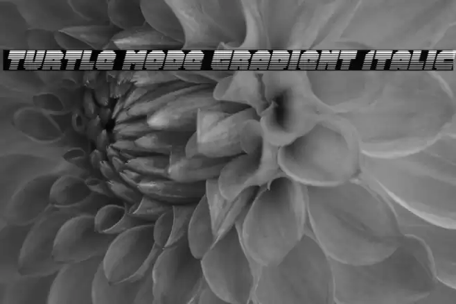 Turtle Mode Gradient Italic Font examples