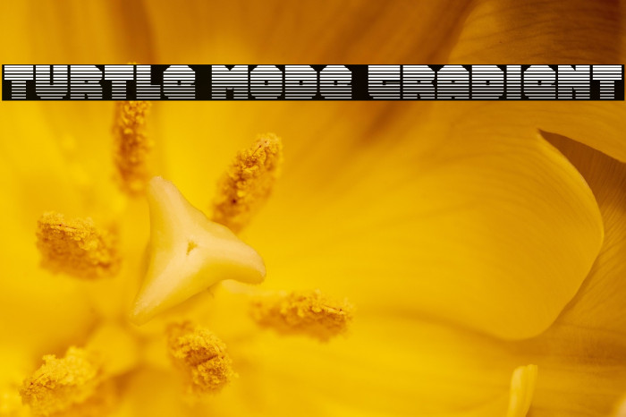 Turtle Mode Gradient Example 2