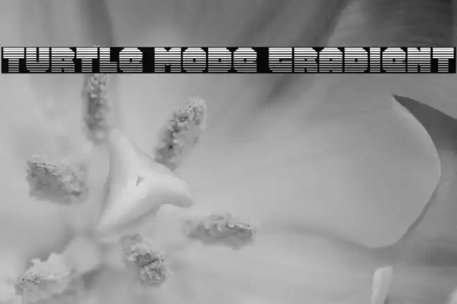 Turtle Mode Gradient Font examples