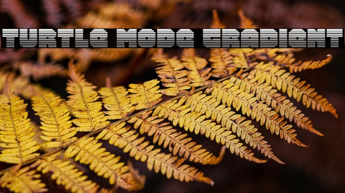 Turtle Mode Gradient Example 3