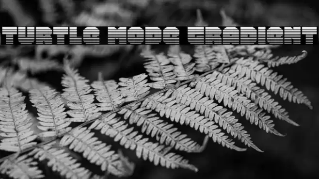 Turtle Mode Gradient Font examples