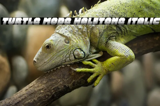 Turtle Mode Halftone Italic Example 1
