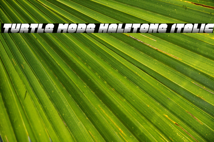 Turtle Mode Halftone Italic Example 3